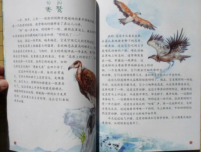 journal_insert_pic_75965343