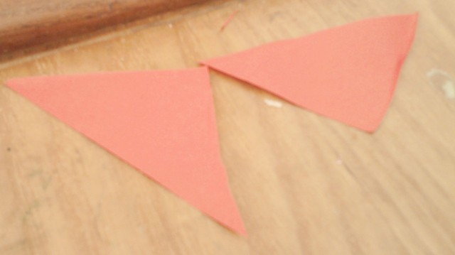 journal_insert_pic_75998338