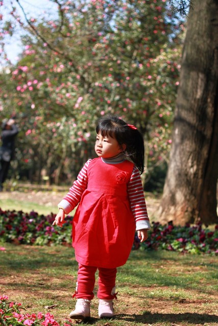 journal_insert_pic_76103439