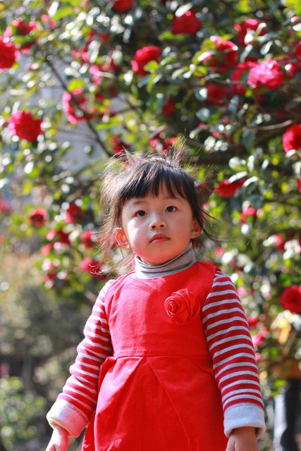 journal_insert_pic_76103402