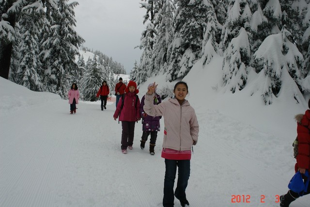 journal_insert_pic_76168047