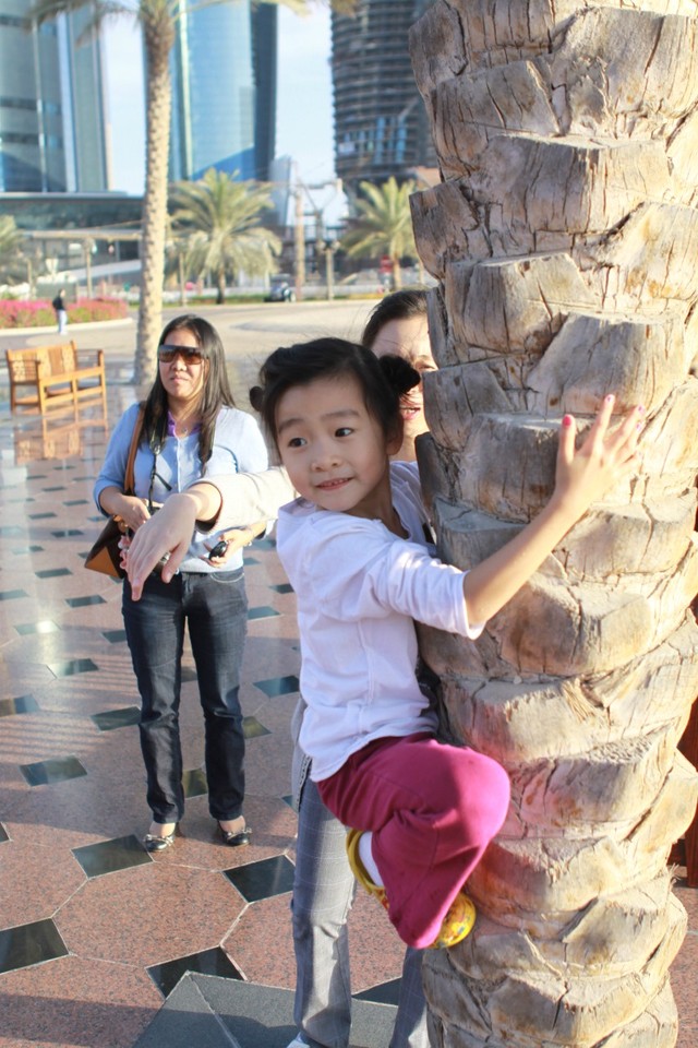 journal_insert_pic_76526526