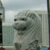 photo.jpg