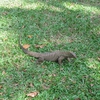 20120212 093.jpg