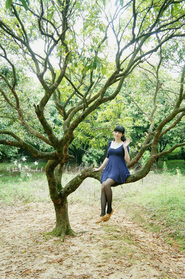 journal_insert_pic_79402467