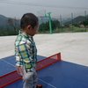 SAM_3496.JPG