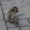 P1000802.JPG
