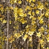 DSC01491.JPG