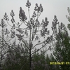 SAM_0042.JPG