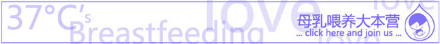 journal_insert_pic_80892103