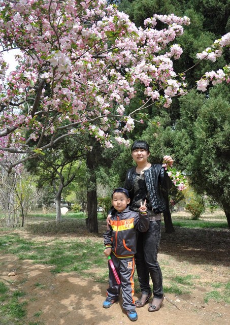 journal_insert_pic_81074712