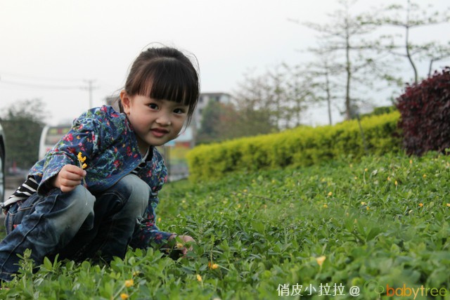 journal_insert_pic_81148266