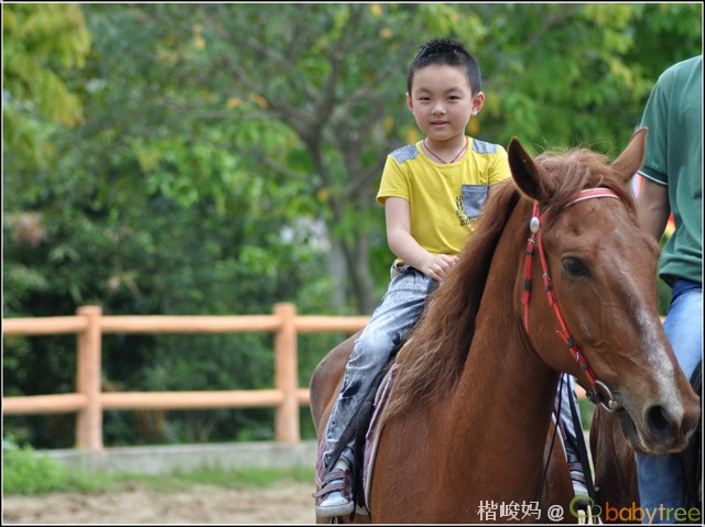 journal_insert_pic_81293095