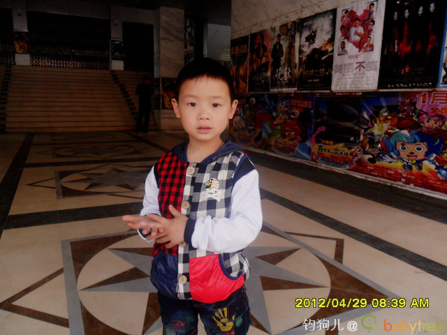journal_insert_pic_81548771