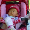 绿野仙踪-小妮的小仙境
