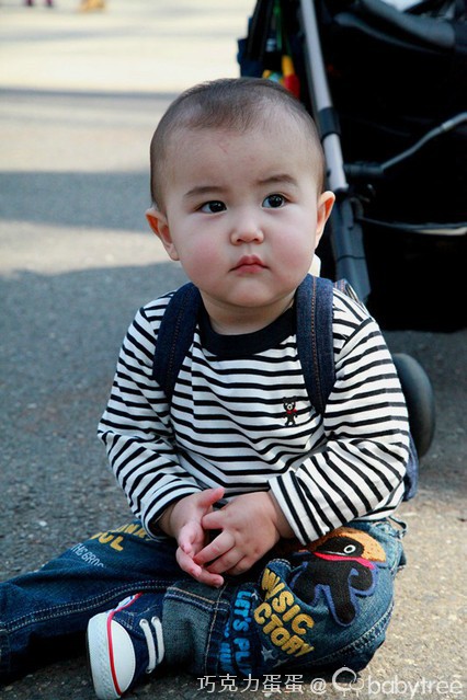 journal_insert_pic_81811081