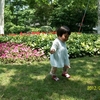 100_8751.JPG