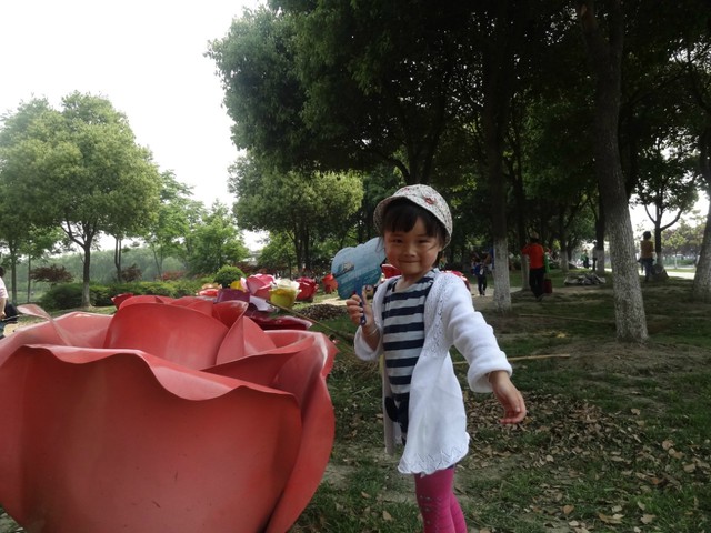 journal_insert_pic_81828375
