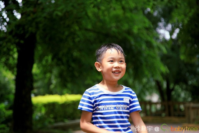 journal_insert_pic_82624805