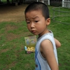 2012-5-19 光明牛奶场