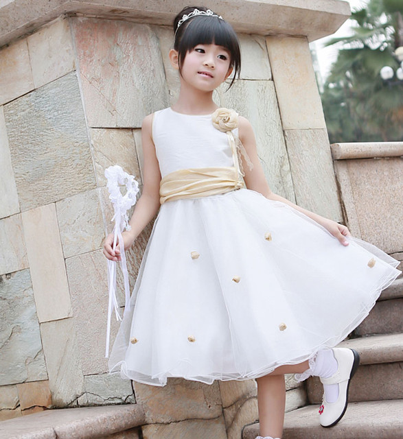 journal_insert_pic_82875335