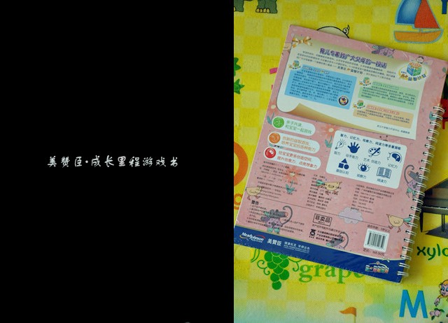 journal_insert_pic_90616097