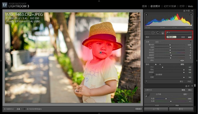 八 Lightroom 局部调整 牧西的日记 Babytree 宝宝树