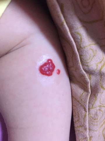 journal_insert_pic_243480336
