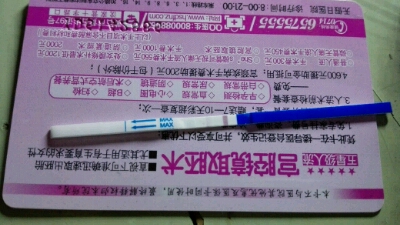 journal_insert_pic_286212599
