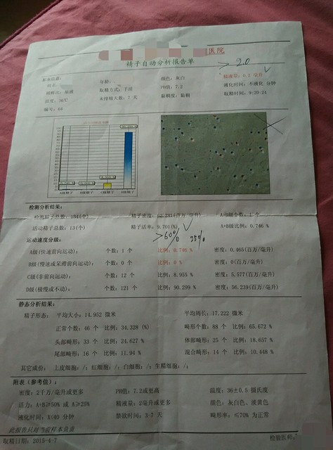 树下 小圈子 宝宝树孕育 给所有老公弱精症的姐妹们一点希望