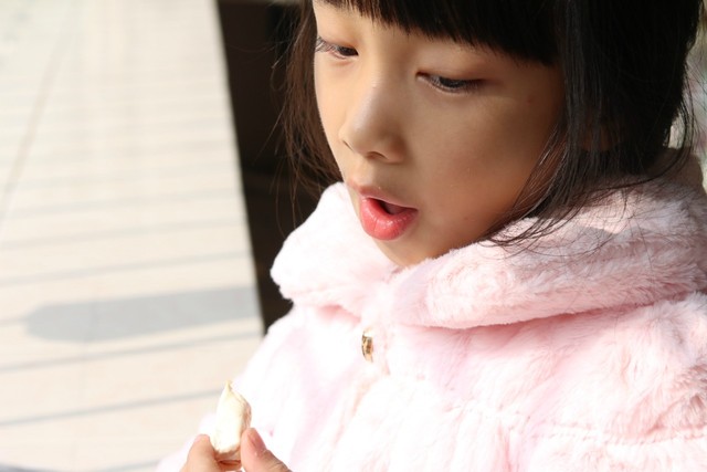 journal_insert_pic_929420155