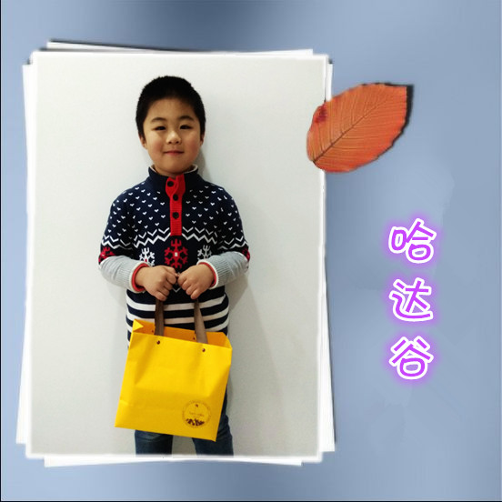 journal_insert_pic_929921332