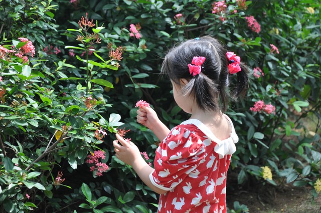 &nbsp;  &nbsp; 妈妈说:&ldquo;不能乱摘花啊.