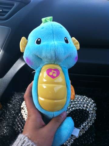 给宝宝败的小海马到货了.一回来就立马拆开包装自己先玩了.