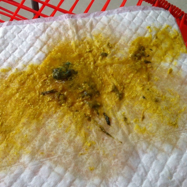 宝宝今天早上大便这样,有知道怎么回事的吗?