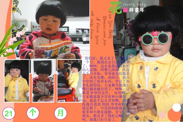 journal_insert_pic_110798987