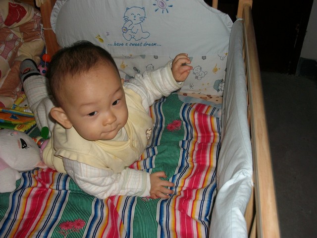 journal_insert_pic_116378116