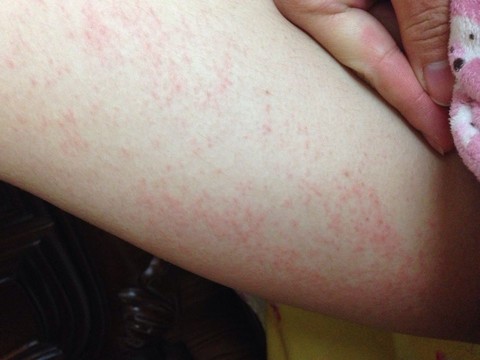 journal_insert_pic_122701369