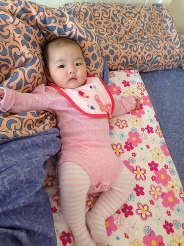 journal_insert_pic_122879723