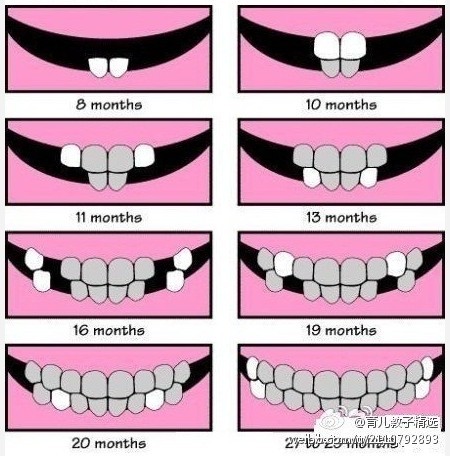寶寶都長几顆牙了啊