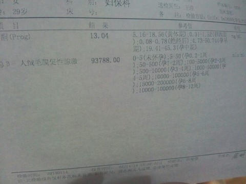 journal_insert_pic_123108687