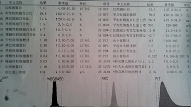 journal_insert_pic_123141078