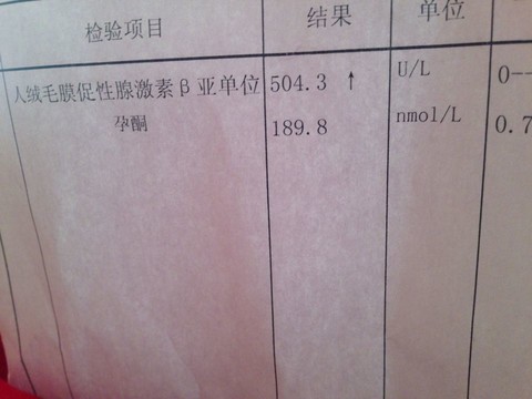 journal_insert_pic_123571307