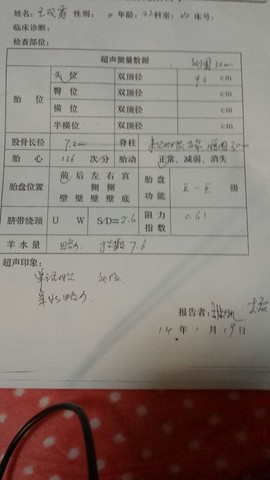 journal_insert_pic_123837243