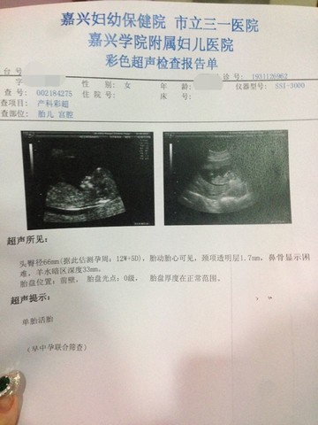 journal_insert_pic_124641090
