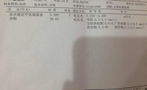 journal_insert_pic_124887171