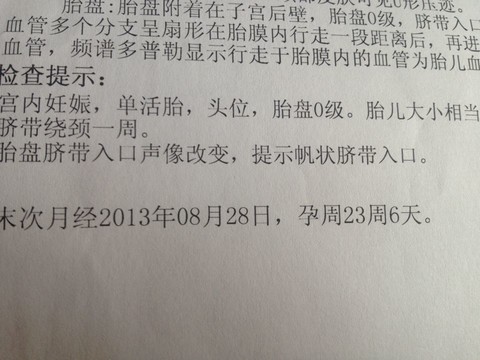journal_insert_pic_125175019