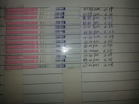 journal_insert_pic_126976978