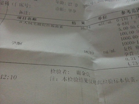 journal_insert_pic_127172961