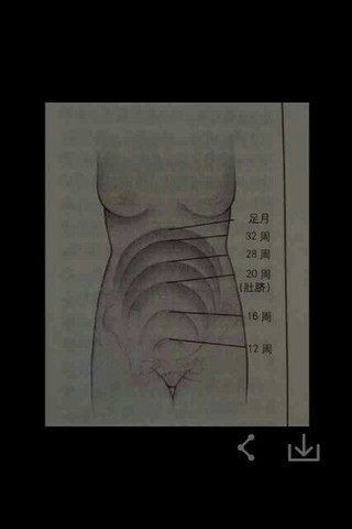 journal_insert_pic_127372109